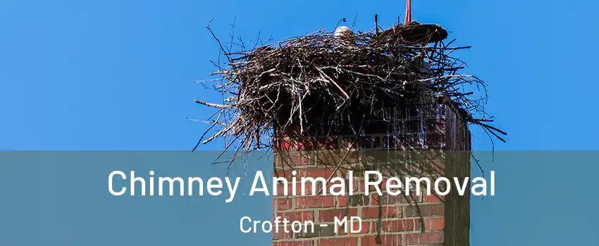 Chimney Animal Removal Crofton - MD