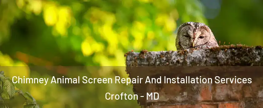  Chimney Animal Screen Repair And Installation Services Crofton - MD