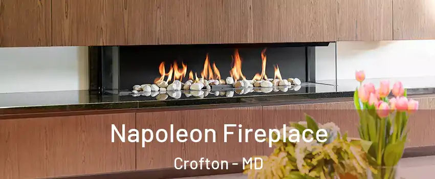  Napoleon Fireplace Crofton - MD